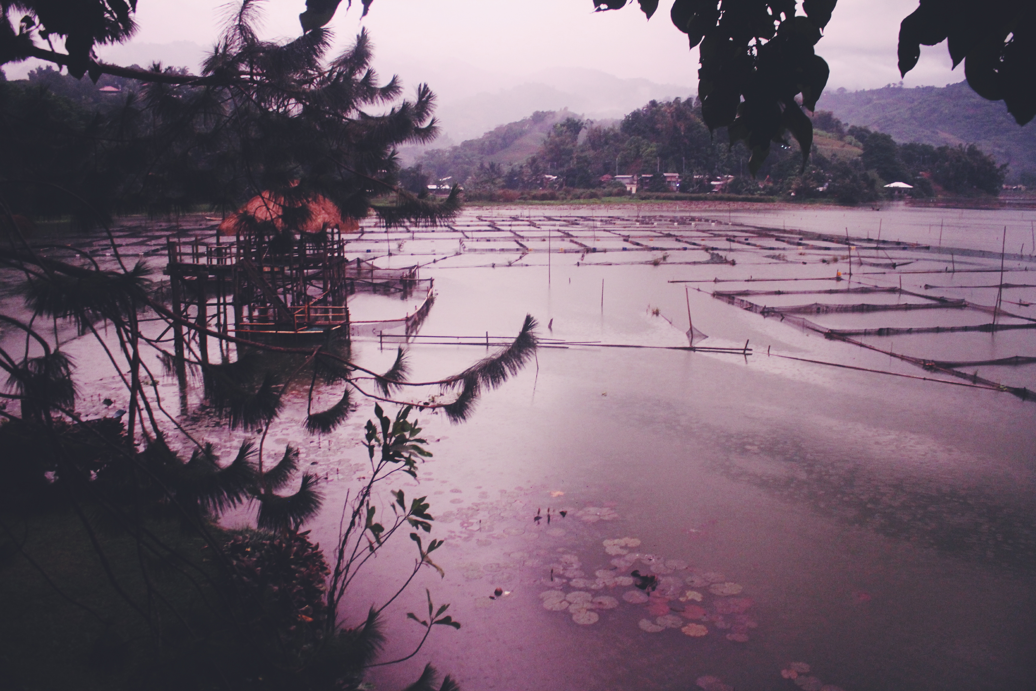 Processed with VSCO with f2 preset