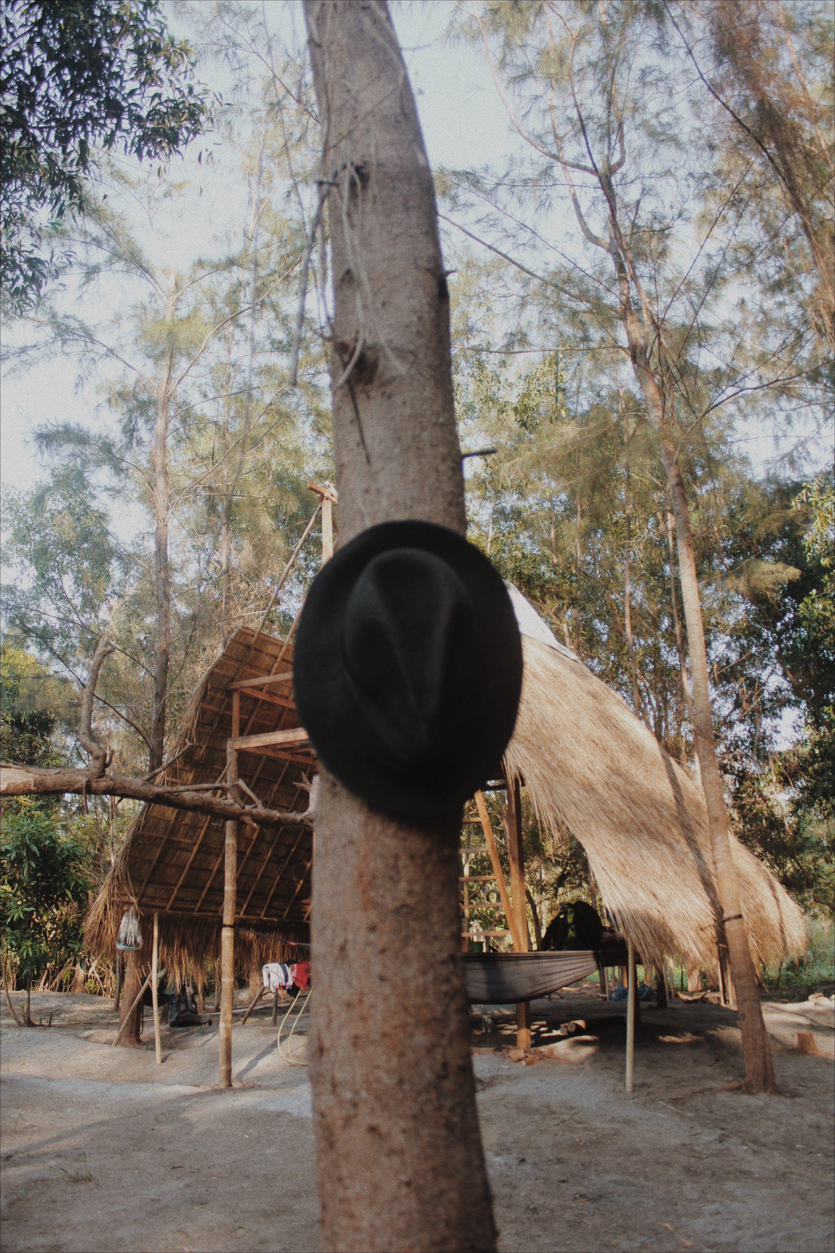 Processed with VSCO with m5 preset