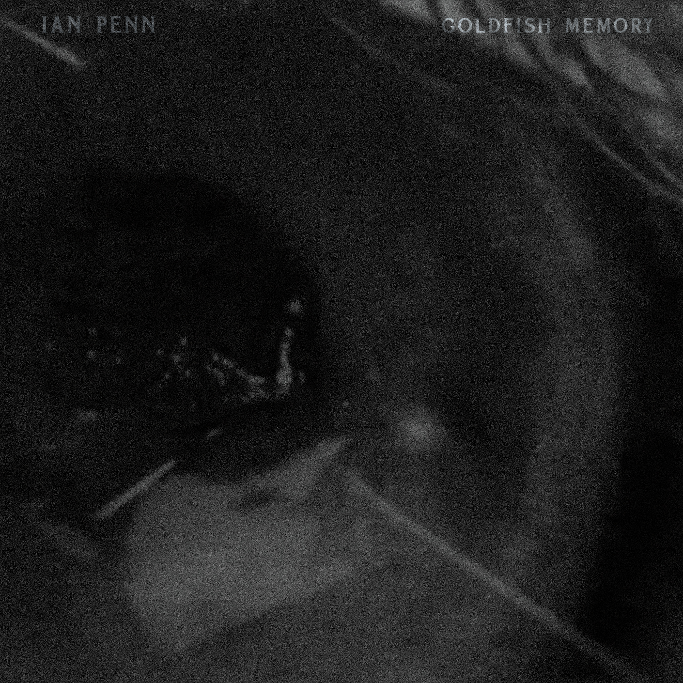 ALBUM ART V (WITH SOFTNESS & WHITEY GRAIN (1 of 1).jpg